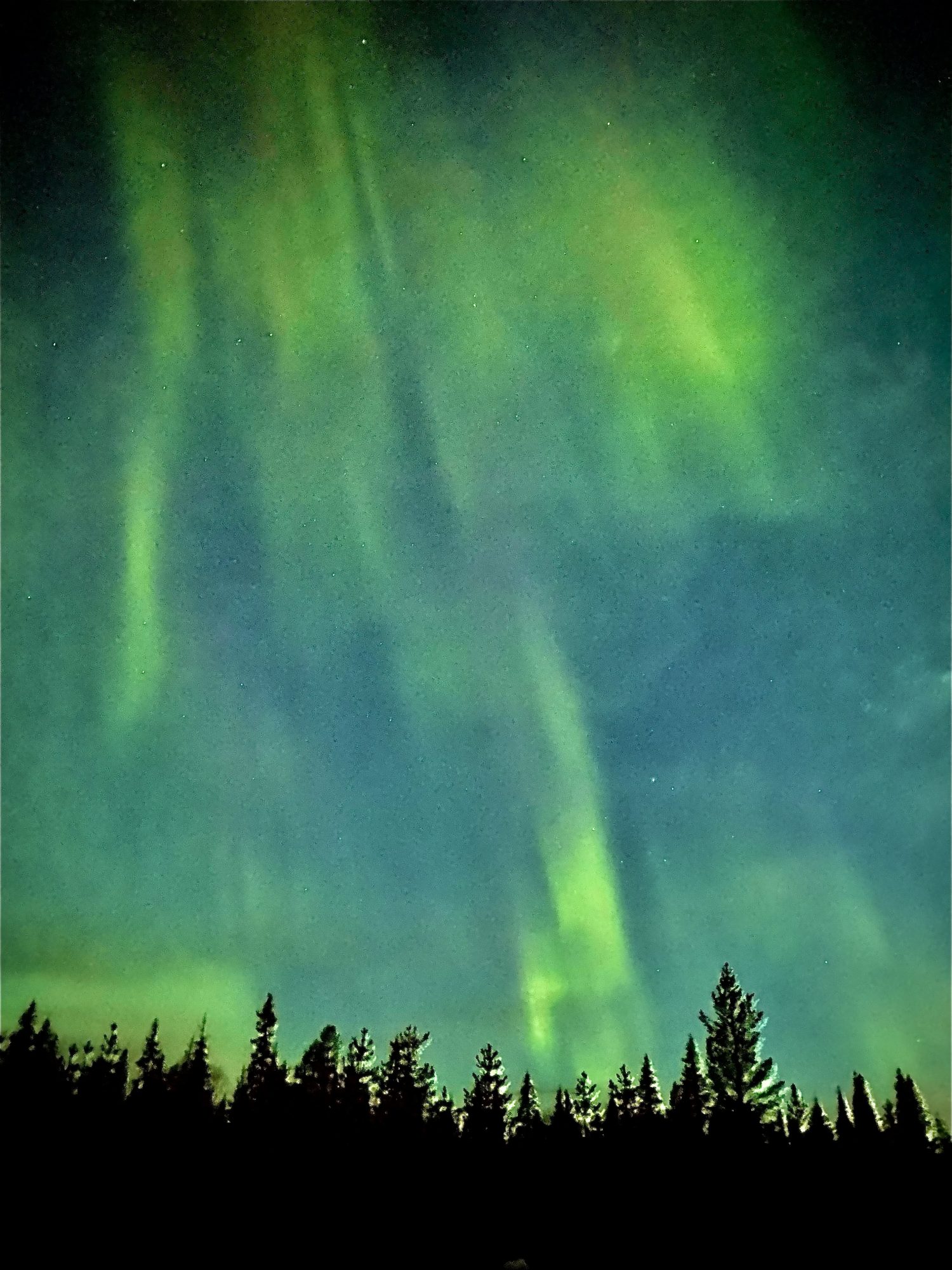 Arctic Lapland spring: northern lights dancing in the sky