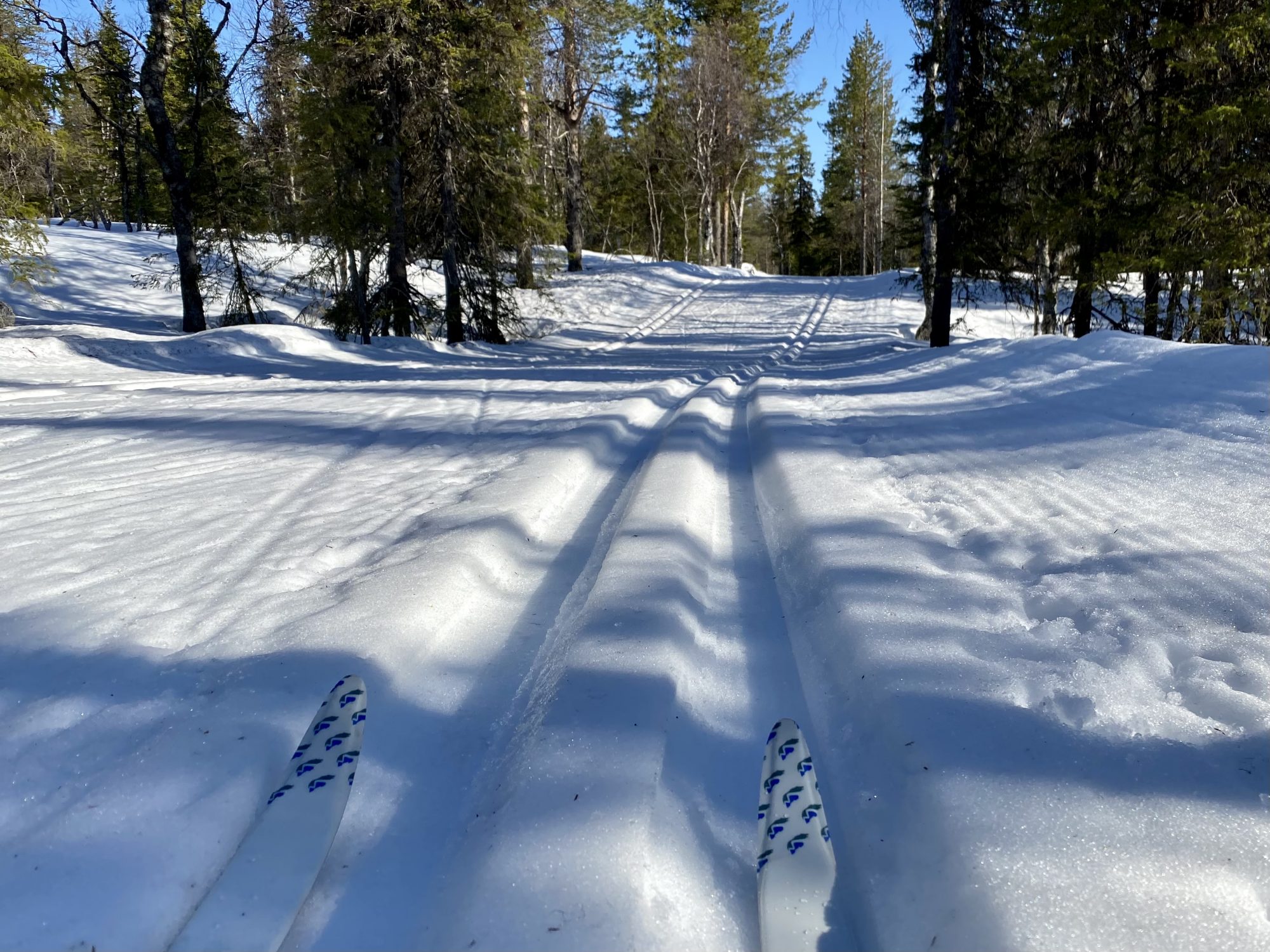 Arctic Lapland spring: skiing on ski tracks