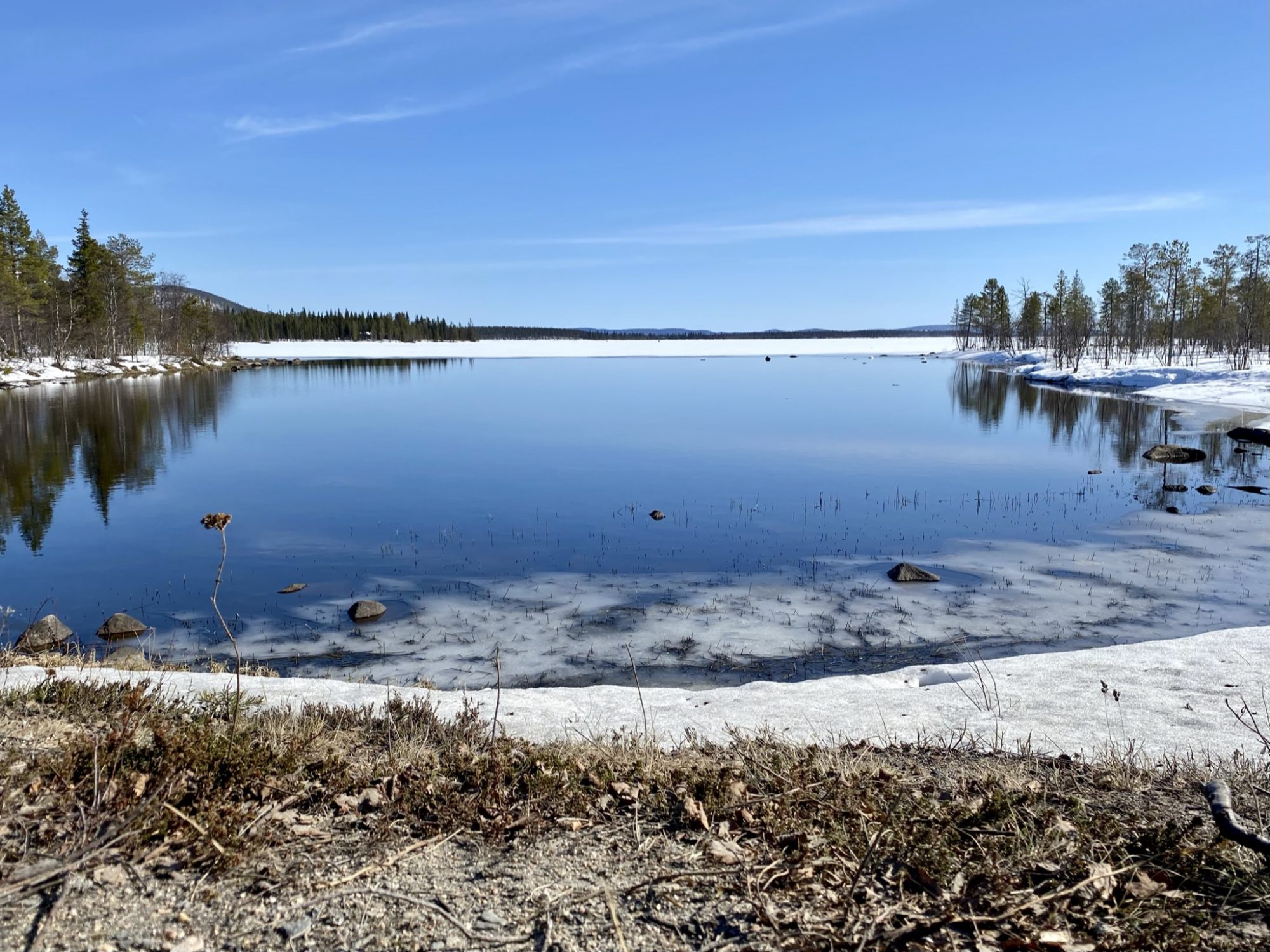 Arctic spring in Pallas-Yllästunturi National Park