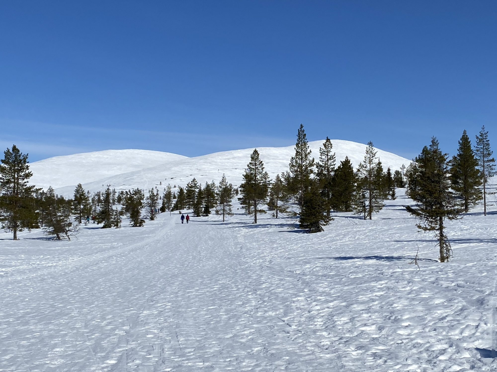 Walking on snowy trails, Pallas, Lapland