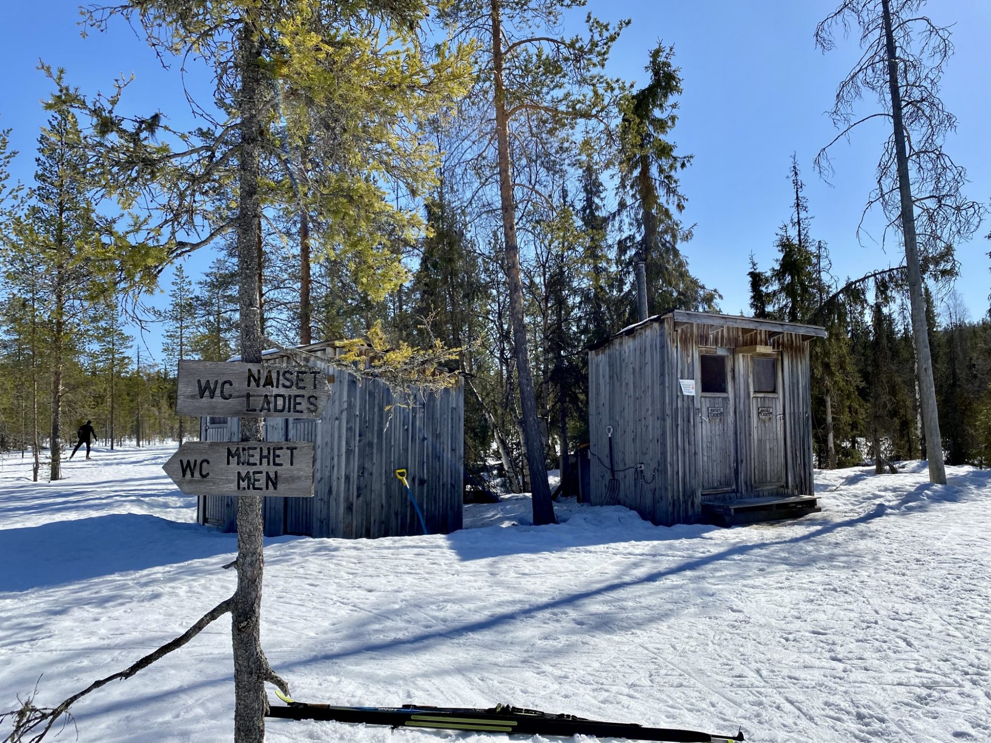 Wilderness outhouse toilets for ladies and men