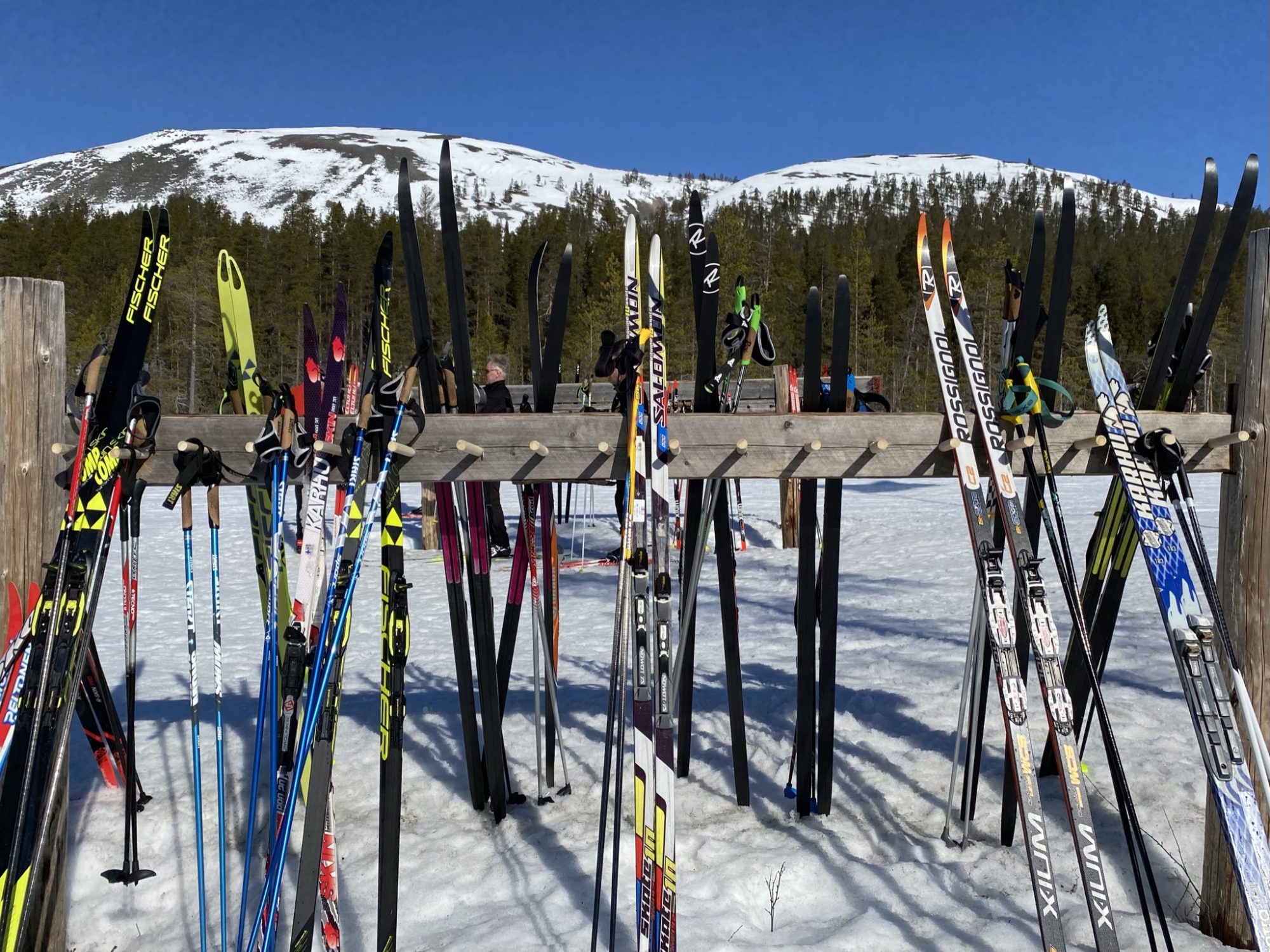 Arctic Lapland spring: skis outside a wilderness cafe