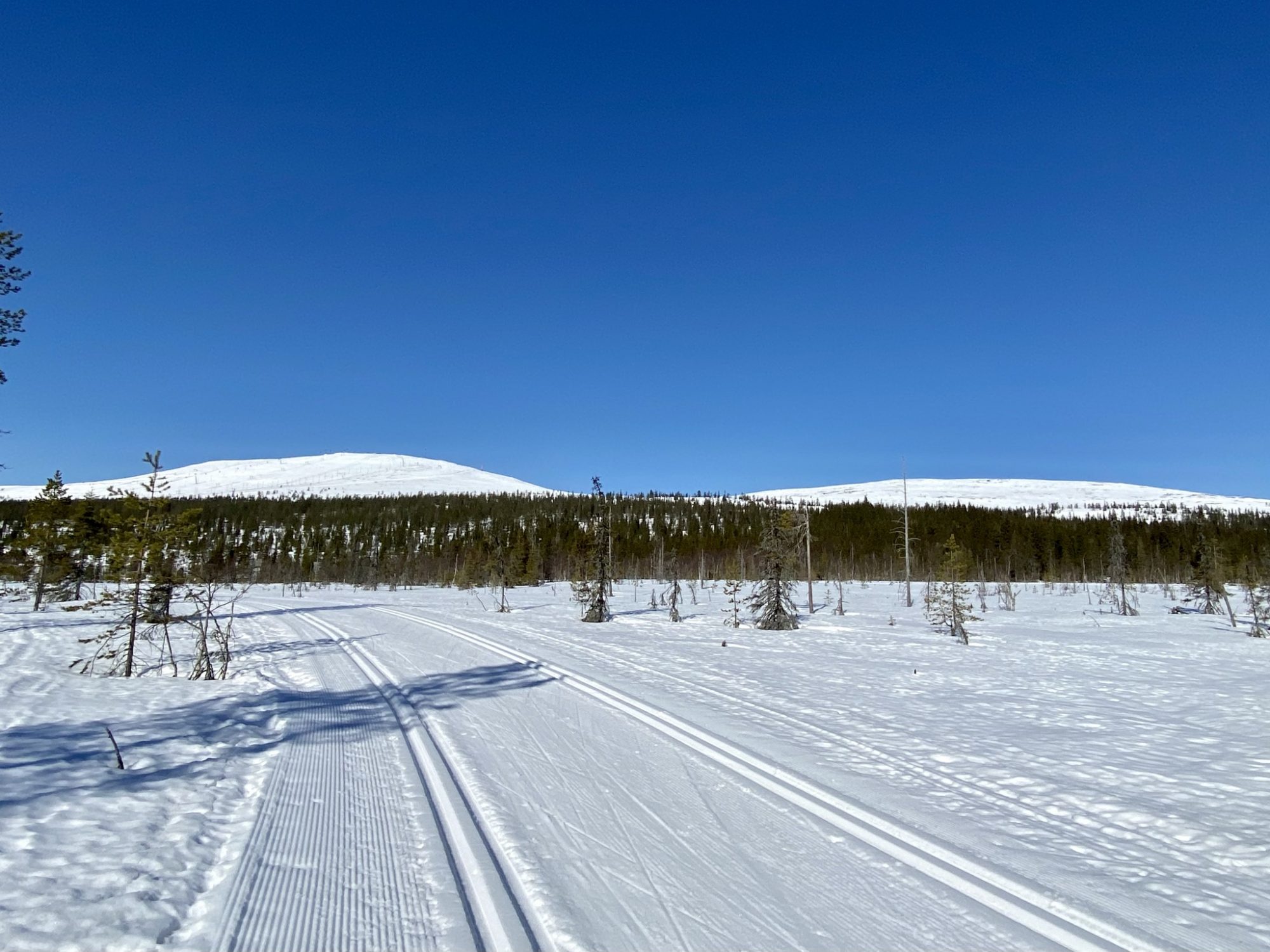 Arctic Lapland spring: well-prepared ski tracks of Ylläs