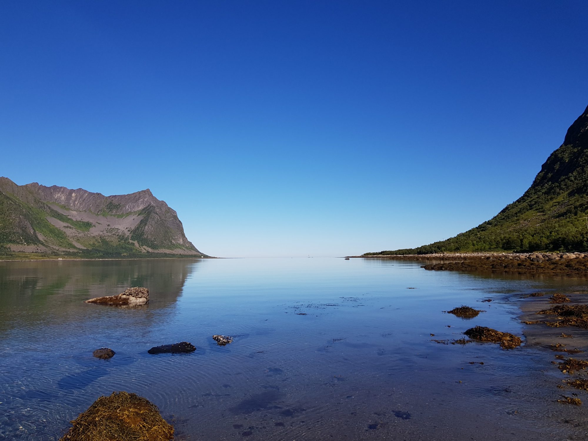 View from a Senja campsite Norway by motorhome: Arctic Sea at Senja