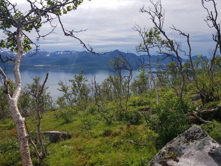 Norway by motorhome: hike to Husfjellet, Senja