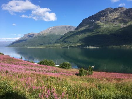 Norway by motorhome: Lyngenfjord