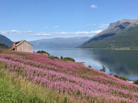 Norway by motorhome: Lyngenfjord scenery