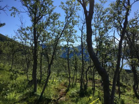 The hike to Husfjellet