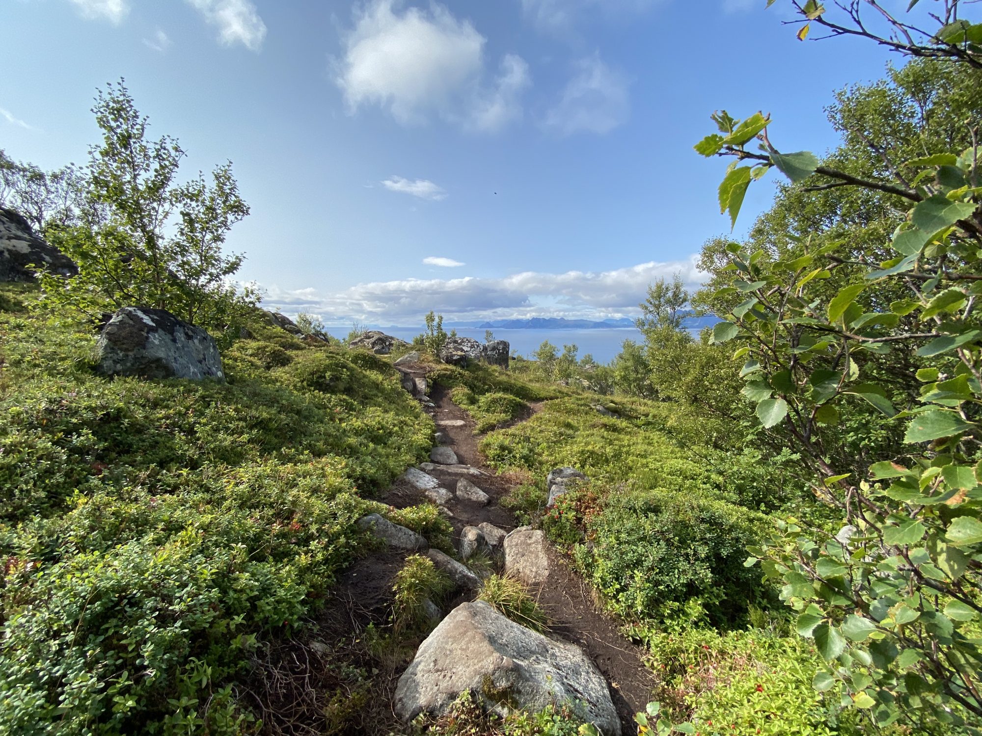 Lofoten hikes: the Heia Hike
