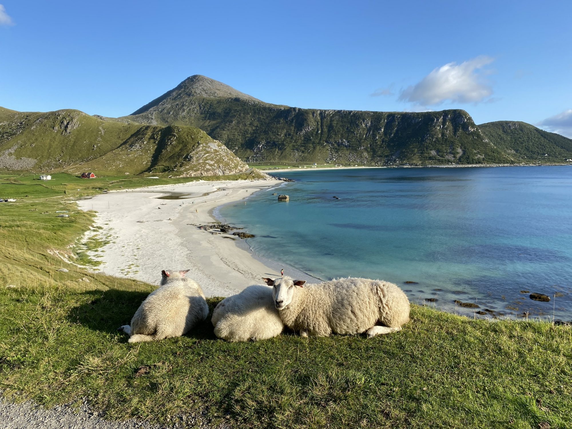 Haukland Beach, Lofoten