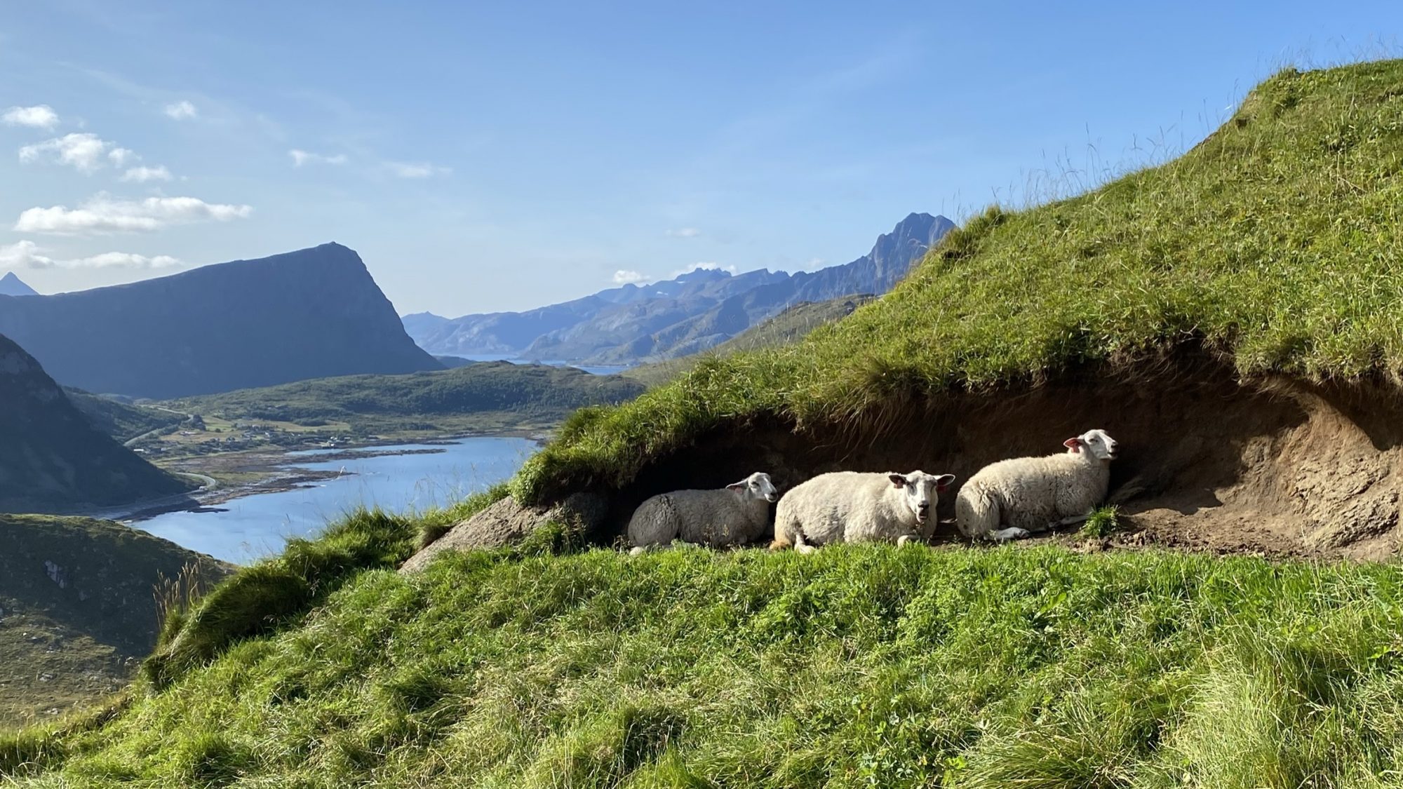 Hike from Haukland to Mannen