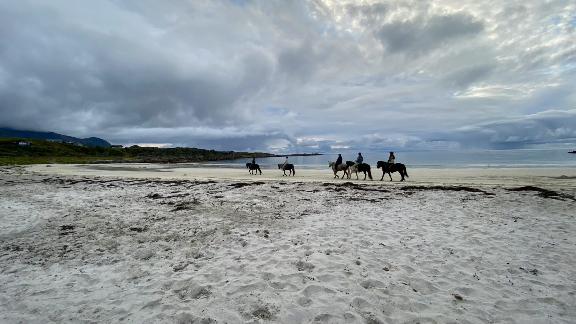 Hov Gård horses on the beach, Gimsoya