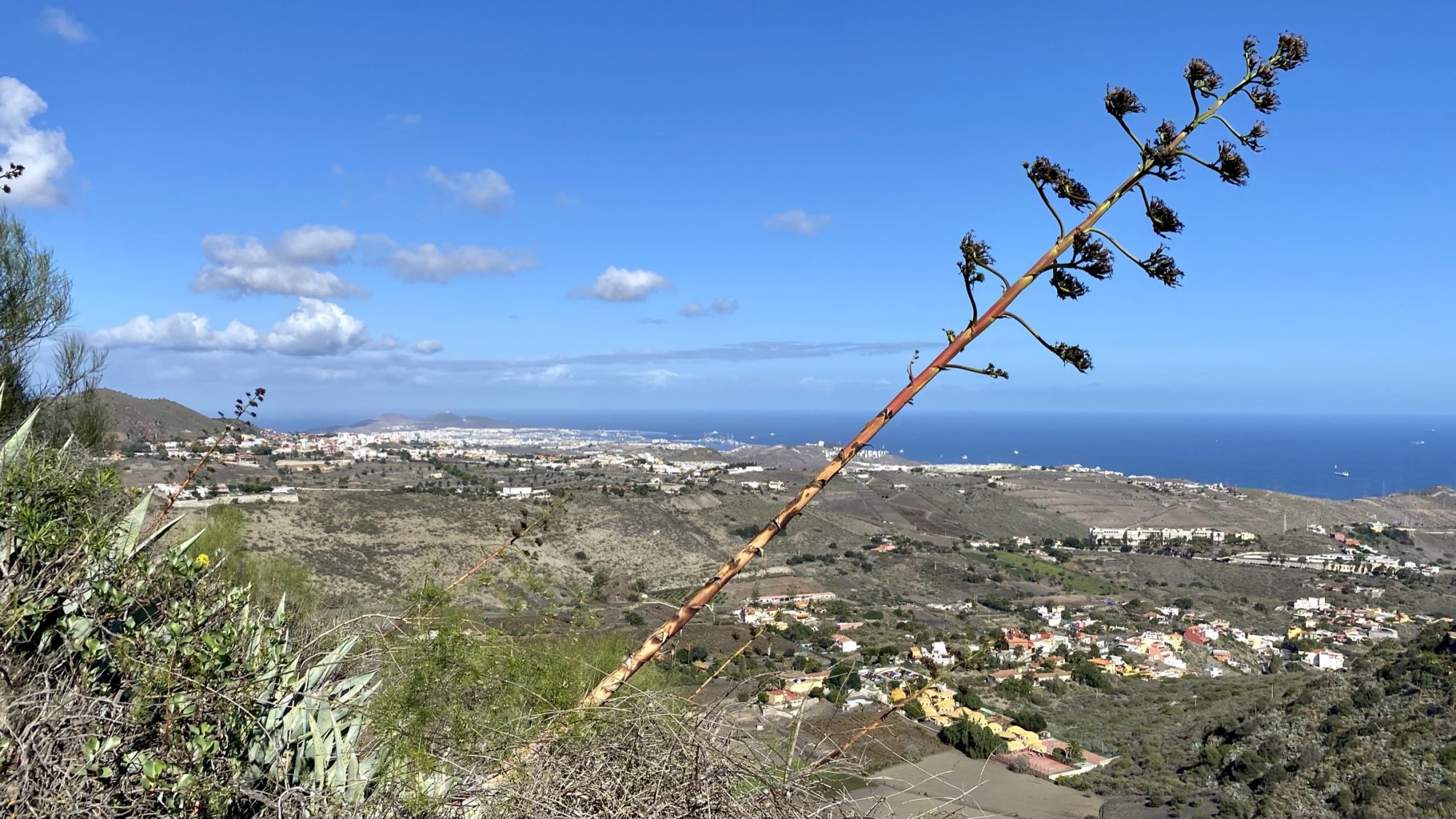 Las Palmas from the crater edge of Caldera the Bandama Las Palmas and the east coast seen from Caldera de Bandama