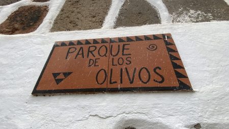 Parque de los Olivos, Temisas, Gran Canaria