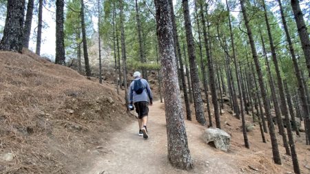 The Roque Nublo hike