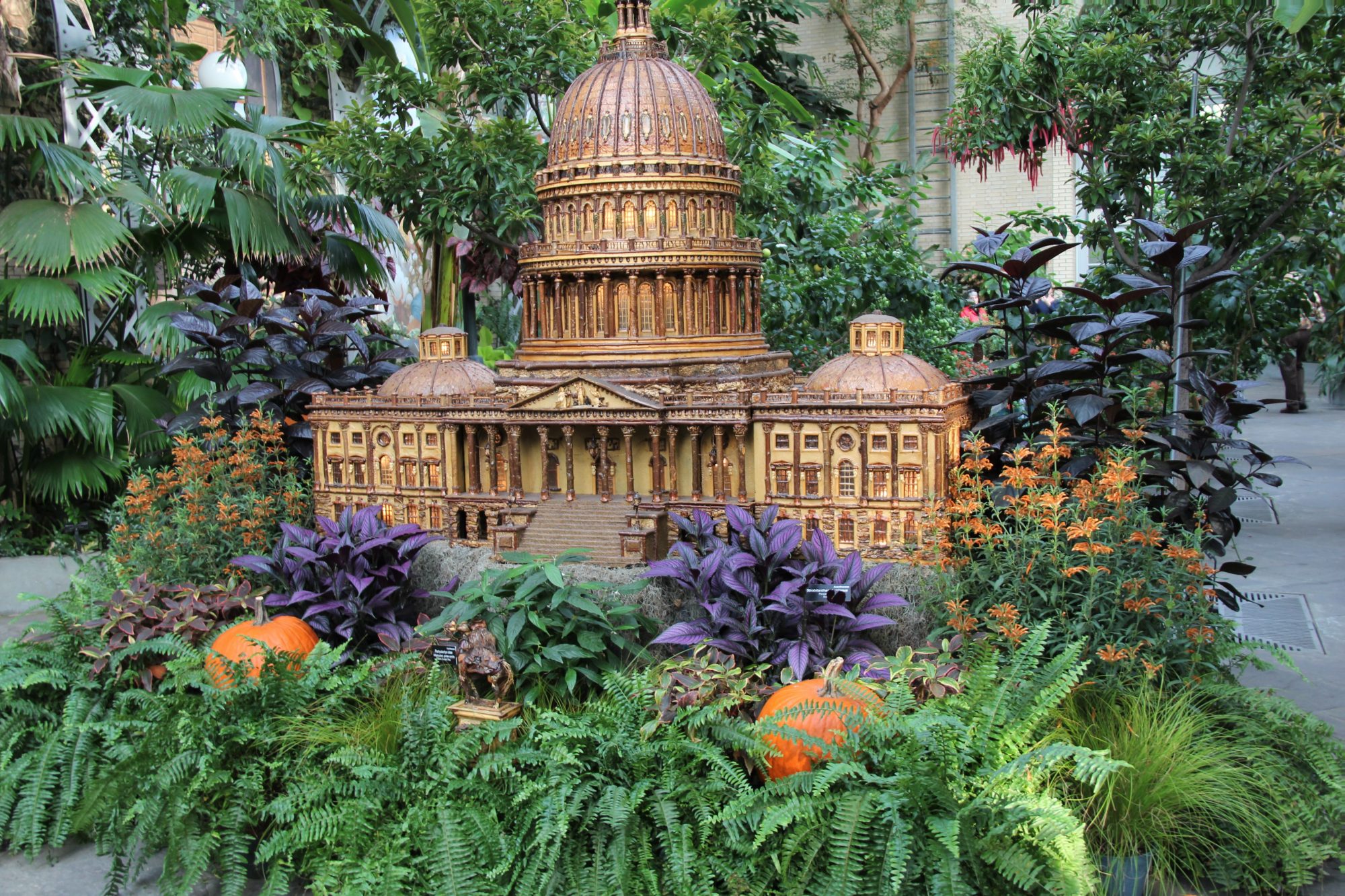 In the greenhouse of the US Botanic Garden National Mall walking itinerary, the botanic gardens