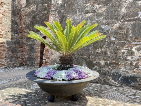 By the tower of La Cala de Mijas