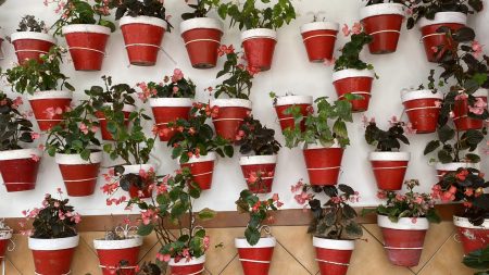 Exploring the pretty Costa del Sol: flower pots in Mijas Pueblo