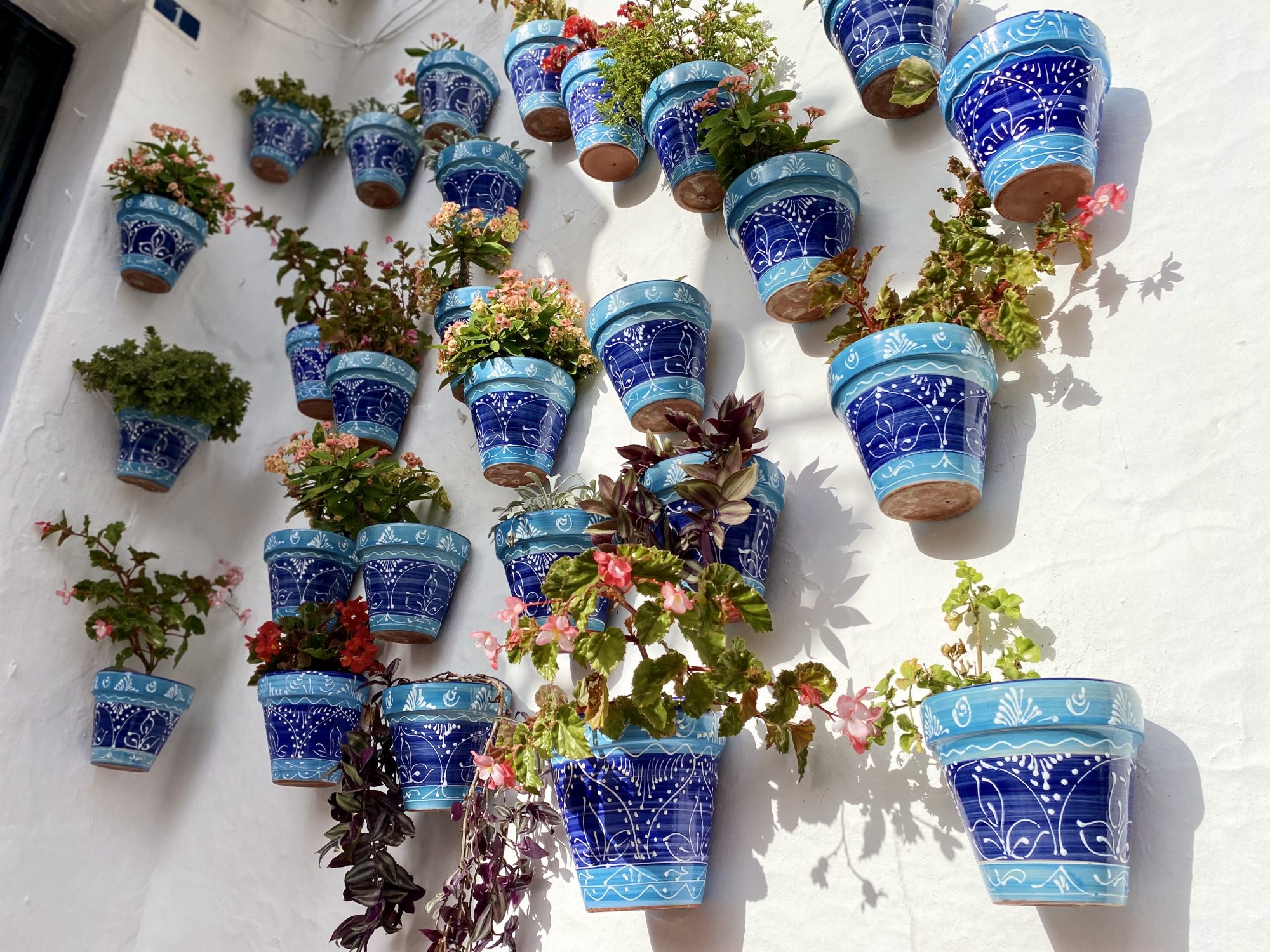 Flowers belong to whitewashed villages of Spain Flowers belong to whitewashed villages of Spain