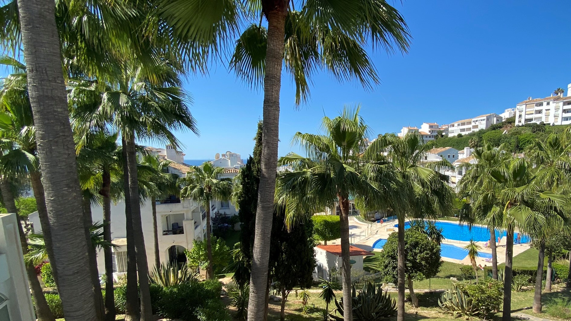 Our base and palm garden on the lovely Costa del Sol Our Costa del Sol palm garden