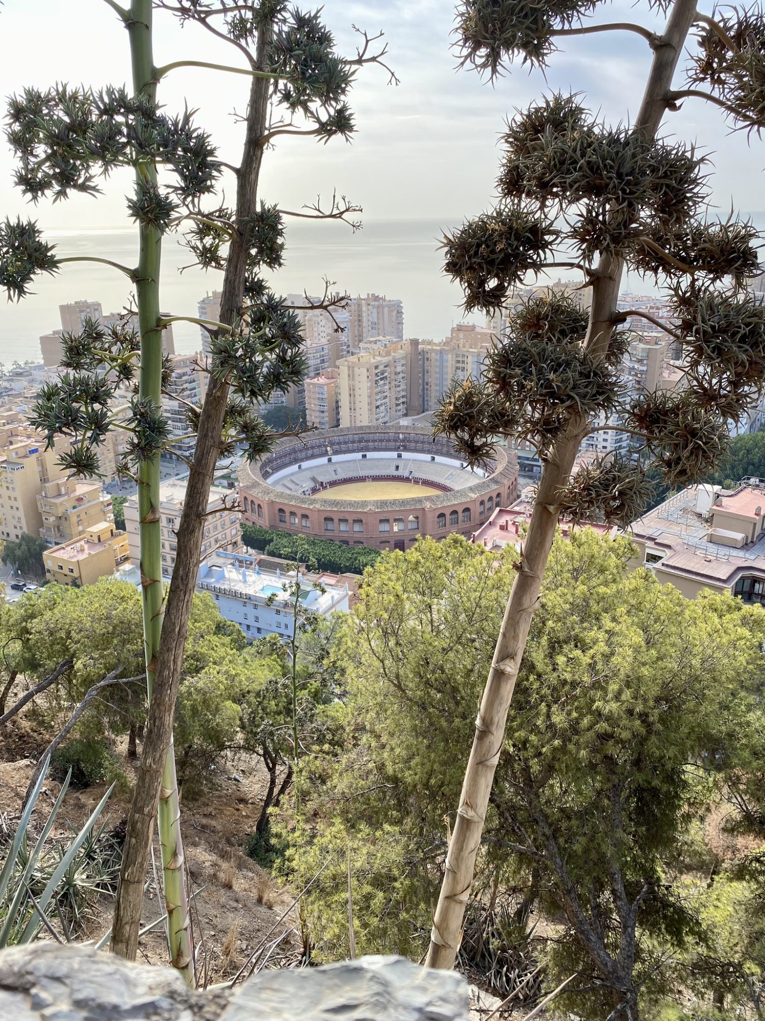 Plaza de Toros from the path to the Castle of Malaga Plaza de Toros seen from the Castle of Malaga